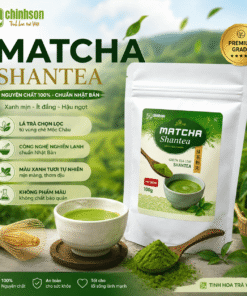 Matcha Shantea - Ancient-tree