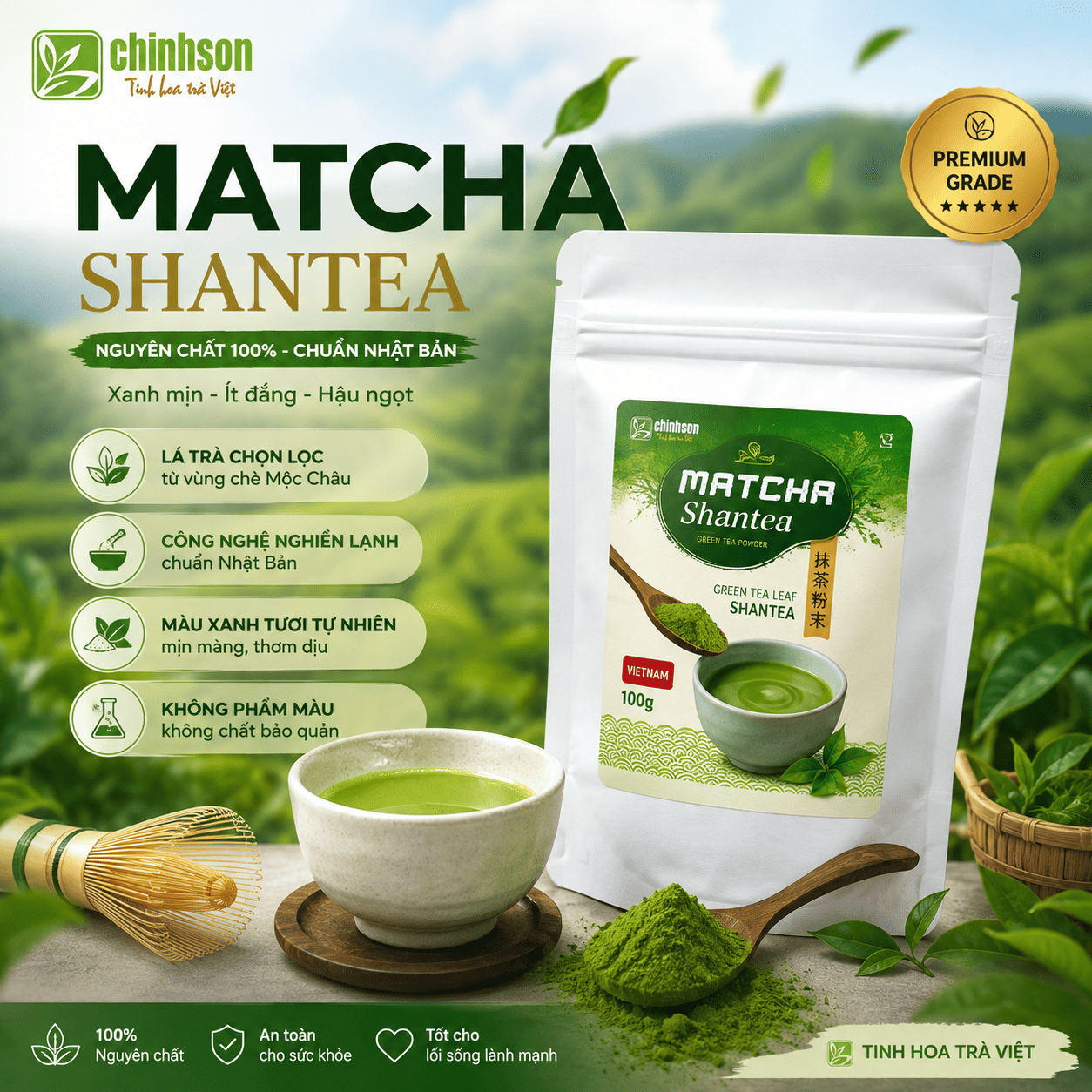 Matcha Shantea - Ancient-tree