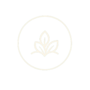 icon1 removebg preview